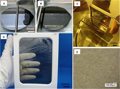 Mechanically Robust Free-Standing Single-Walled Carbon Nanotube Thin Films With Uniform Mesh-Structure by Blade Coating